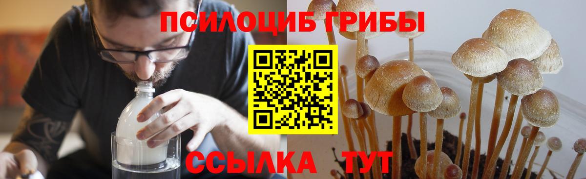 Морозовск  Псилоцибиновые грибы GOLDEN TEACHER  Вход с VPN  сколько стоит  Галлюциногенные грибы мицелий 